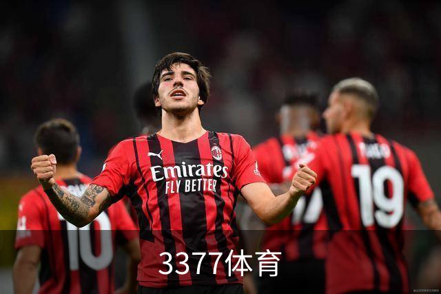 3377体育公司介绍